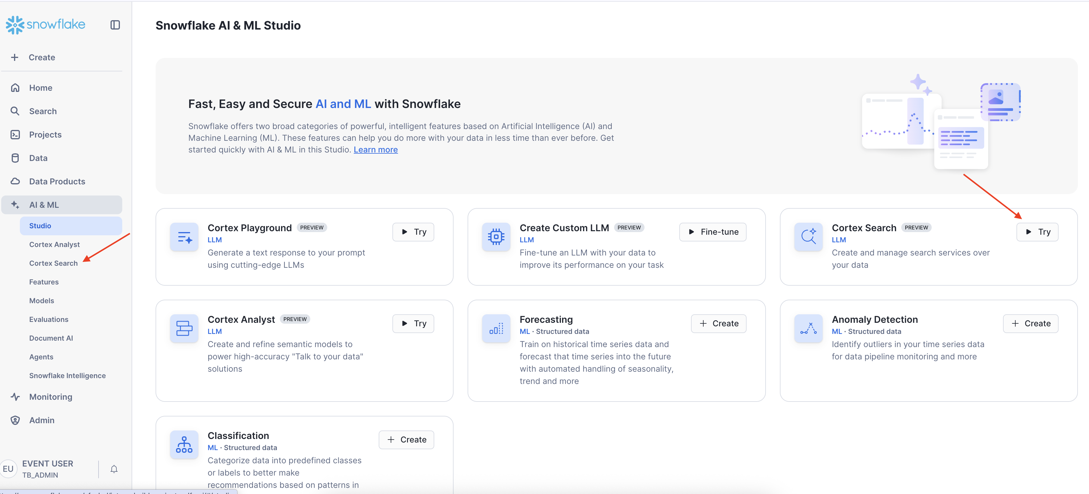assets/vignette-3/cortex-search-access.png