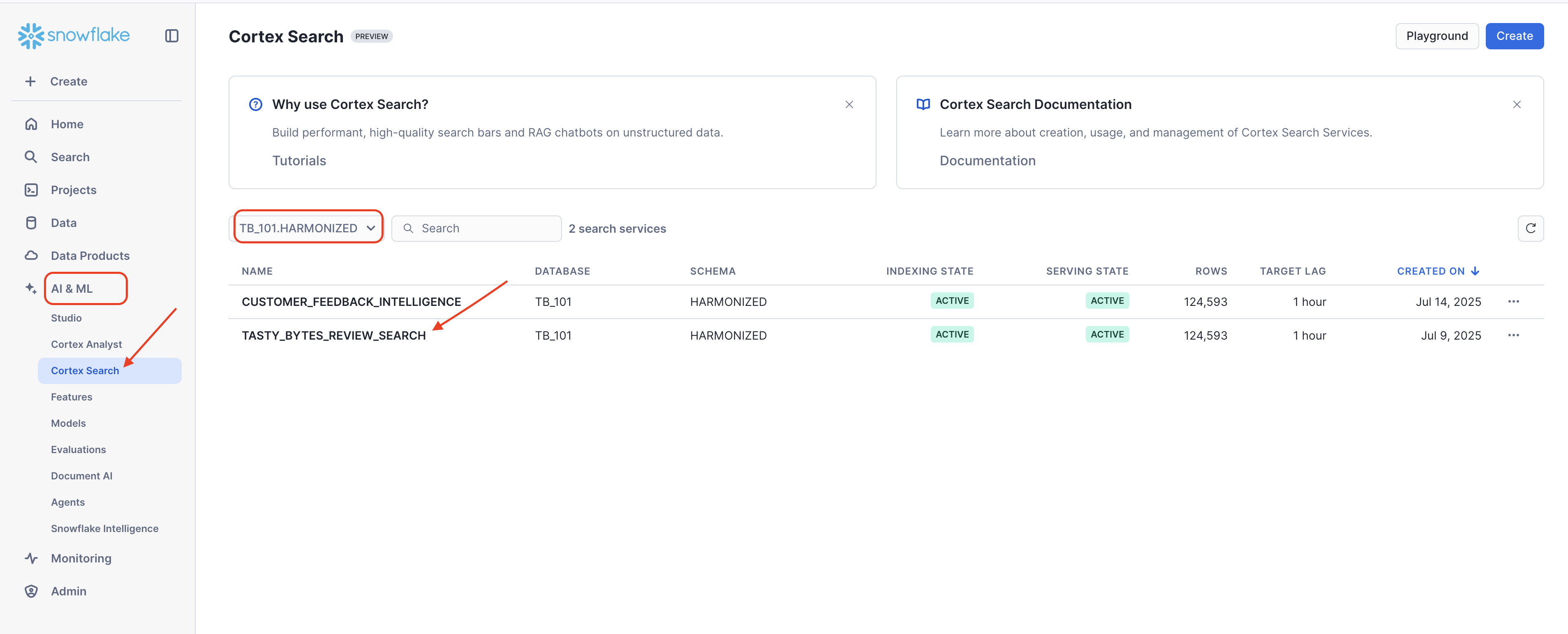 assets/vignette-3/cortex-search-existing-service.png