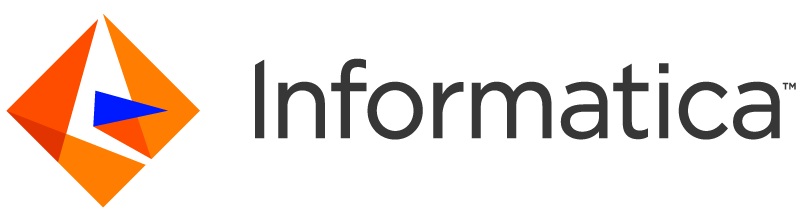 Logo Informatica Summit Partner