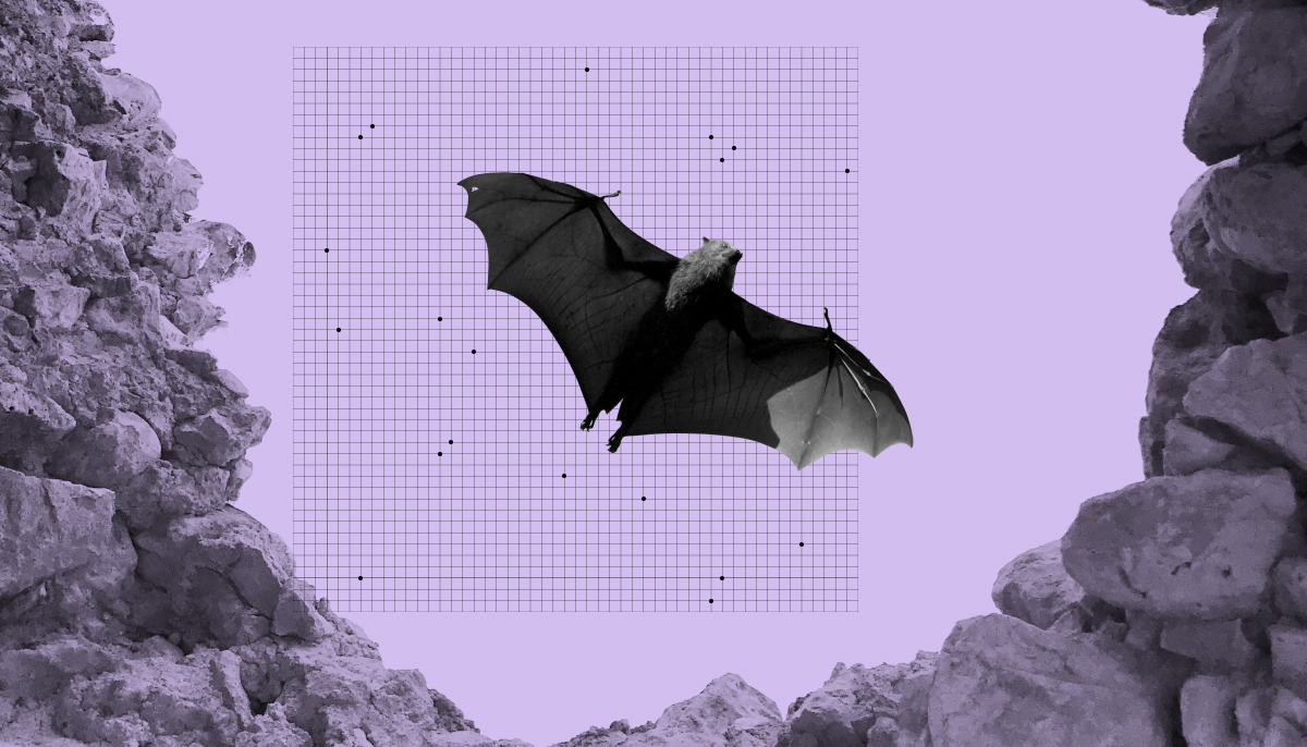 bat in flight illlustration