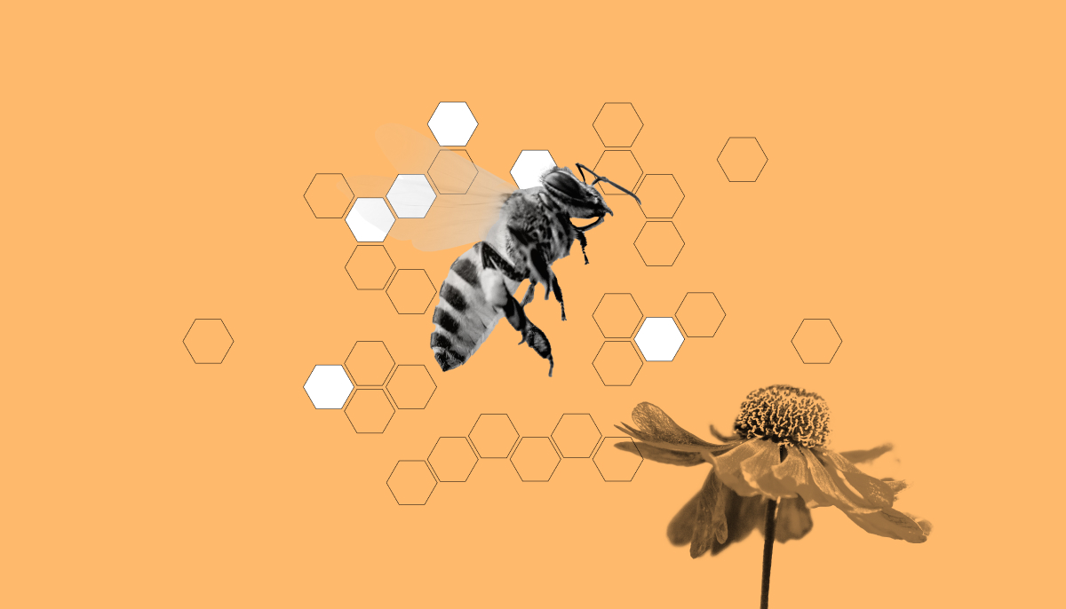 bee colony collapse illustration