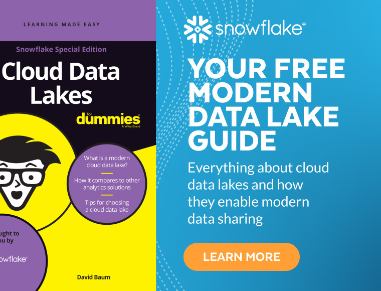 cloud data lake for dummies