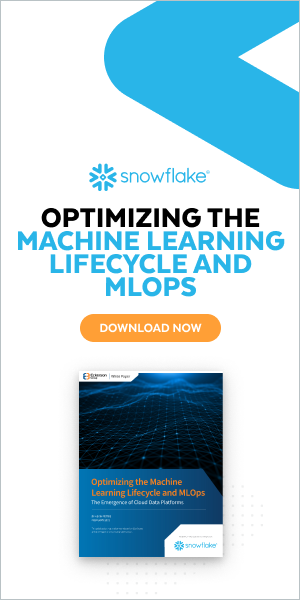 optimizing ml lifecycle and mlops white paper