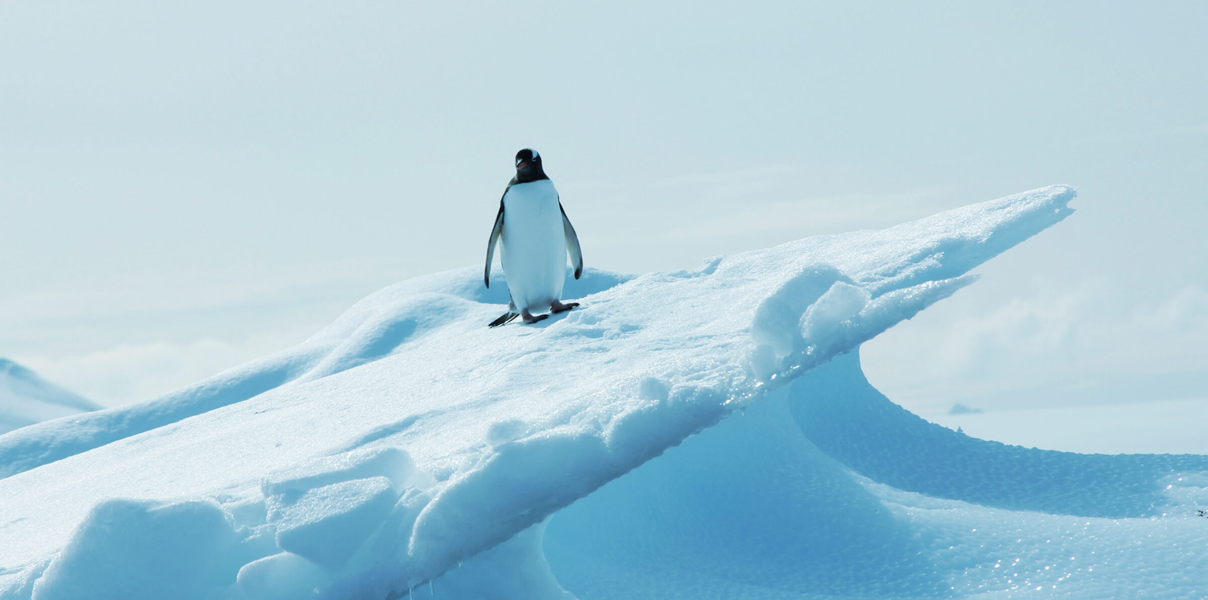 5 Compelling Reasons to Choose Apache Iceberg