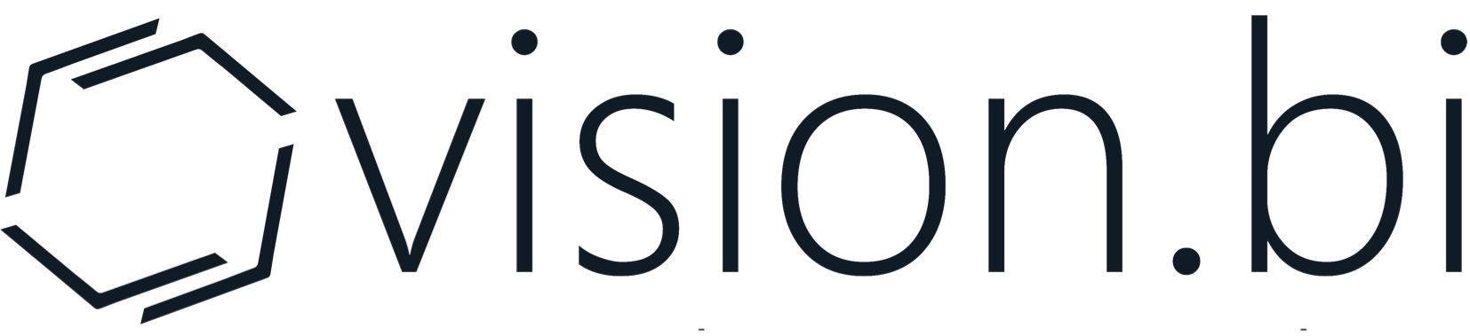 VisionBi